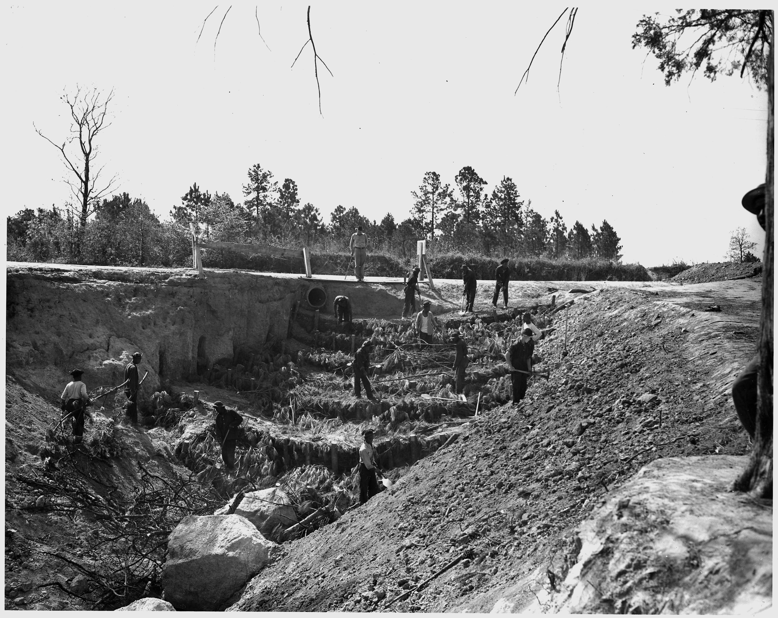1942 photograph of Civilian Conservation Corps erosion-control work on a large gully in Sumter National Forest, Newberry County, South Carolina.